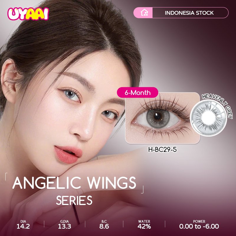 Angelic Wings Collection 6 Month Colored Contact Lenses
