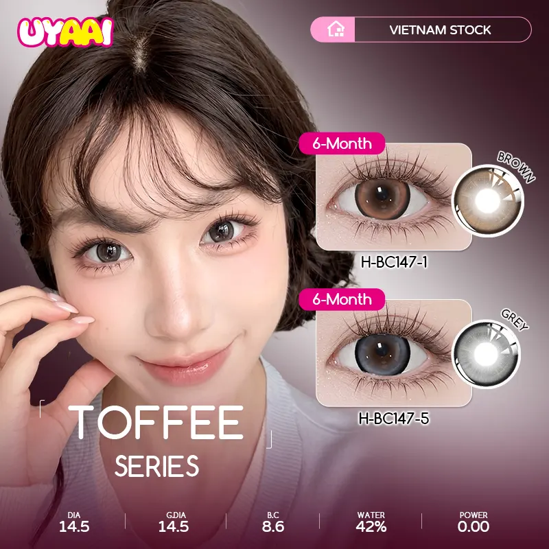 Toffee 6 Months Colored Contact Lenses