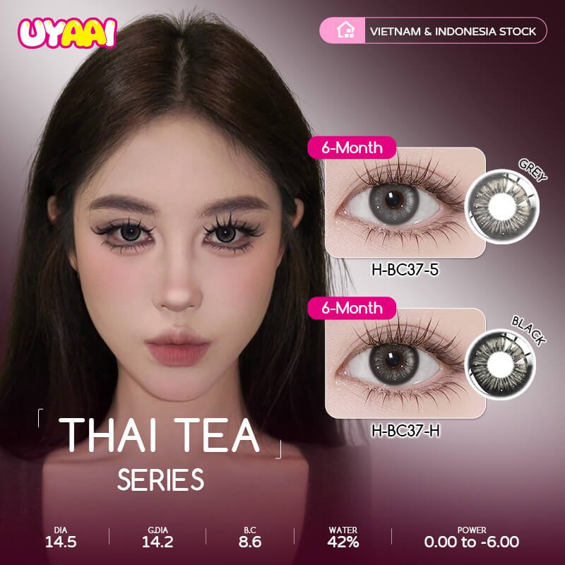 Thai Tea Collection 6 Months Colored Contact Lenses